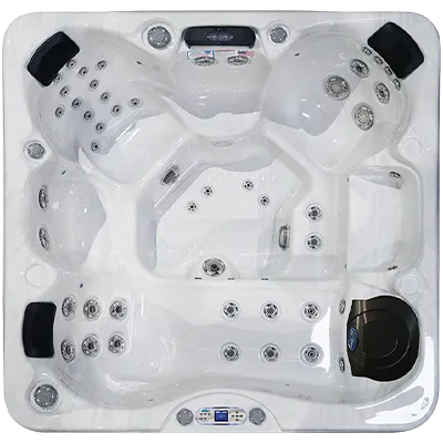 Avalon EC-849L hot tubs for sale in Bad Axe